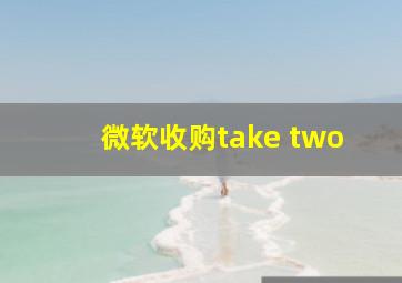 微软收购take two